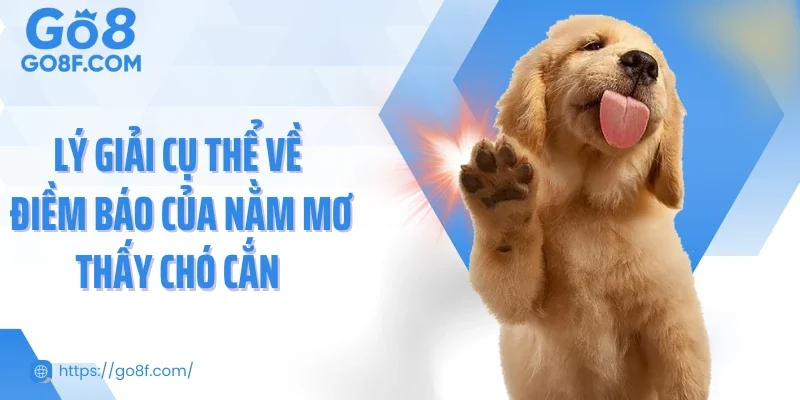 Lý giải cụ thể về điềm báo của nằm mơ thấy chó cắn 