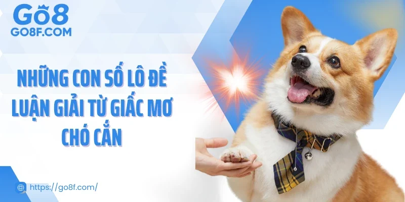 Những con số lô đề luận giải từ giấc mơ chó cắn