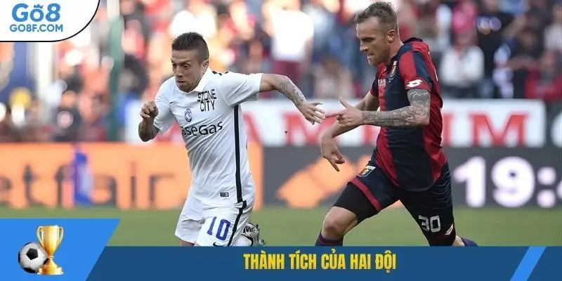 Thành tích của hai đội